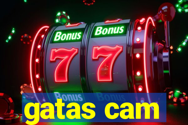 gatas cam